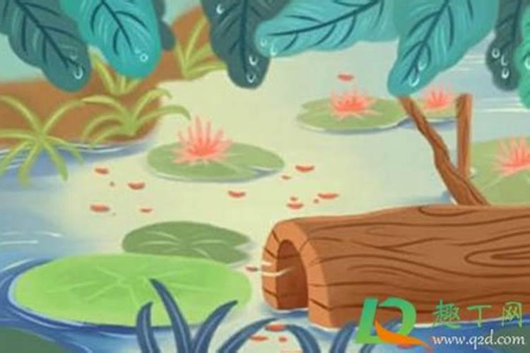 气运布局婚姻局详解 可以化解婚姻不顺吗？