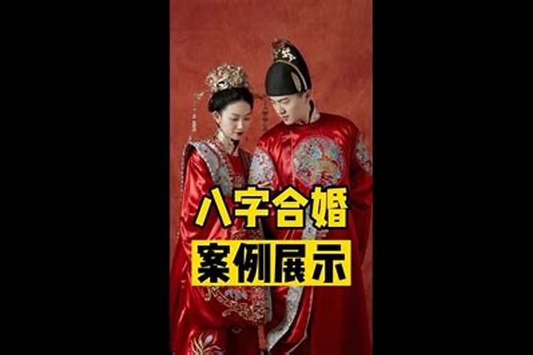 天赦日适合做什么