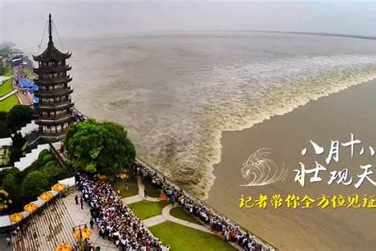 梦见许多许多的老鼠有什么预兆