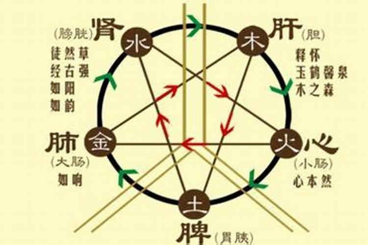 梦见同学被杀了的预兆