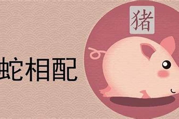 2016年猴年犯太岁的生肖有哪些？应该如何化解
