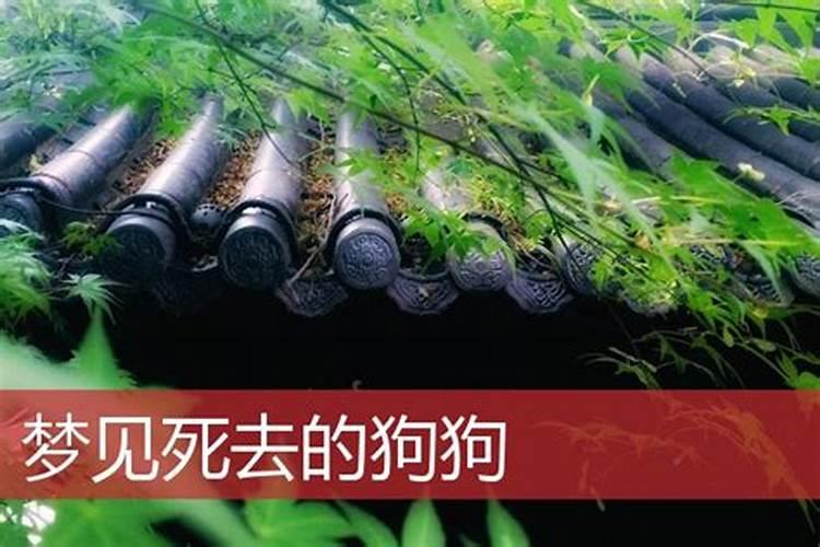 八字算命可信吗