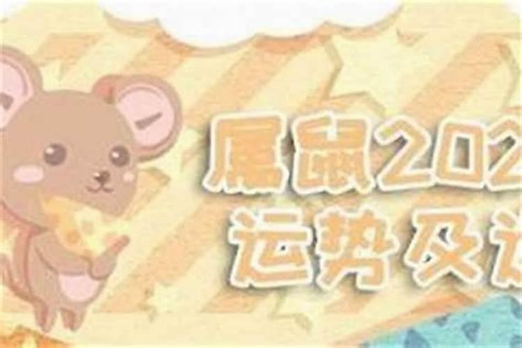 生肖鼠今年多大年龄2024 2024年属鼠的多大