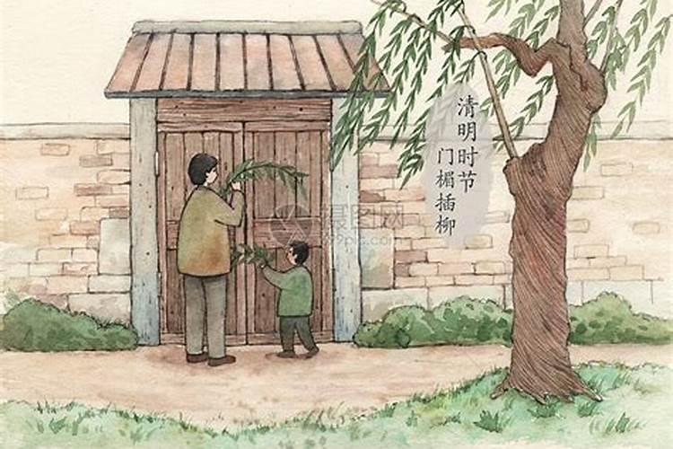 清明节在门口插柳是什么意思