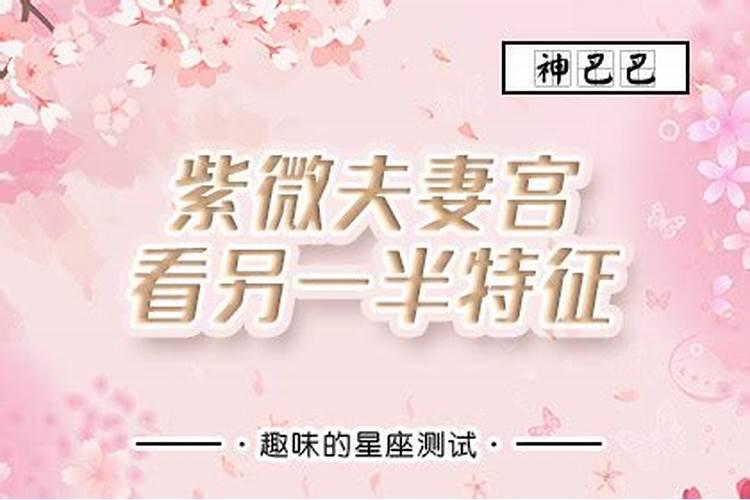 清明节节有什么风俗 传统