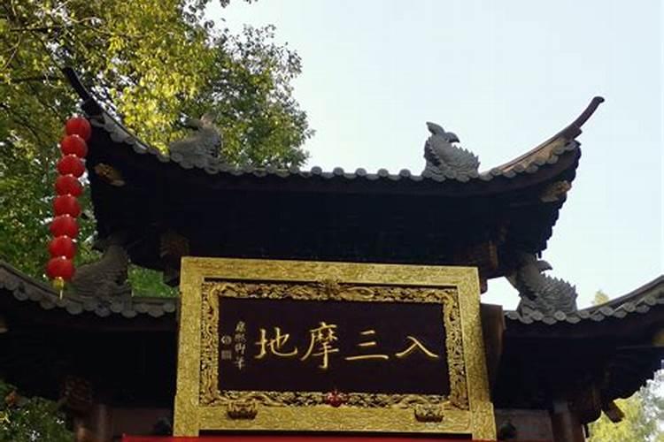 梦见水里有好多鱼和乌龟的预兆