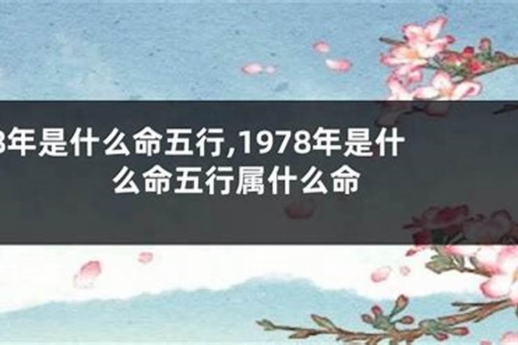 1978年属马女一生运势 1978年出生的人是什么命？