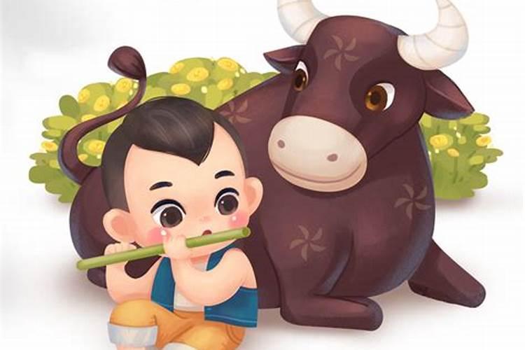 属牛人几月份出生最好 不同月份的出生命运分析？