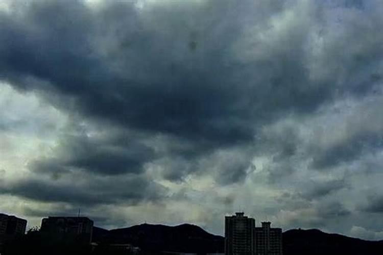 属马和属狗的合不合