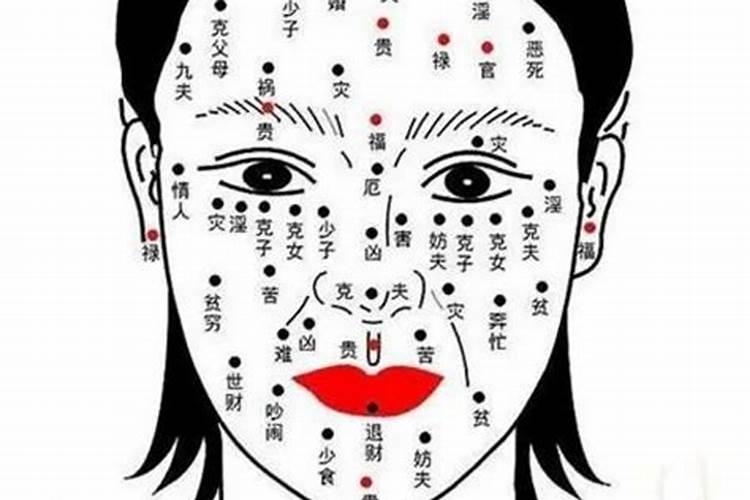 梦见马桶里有蛇