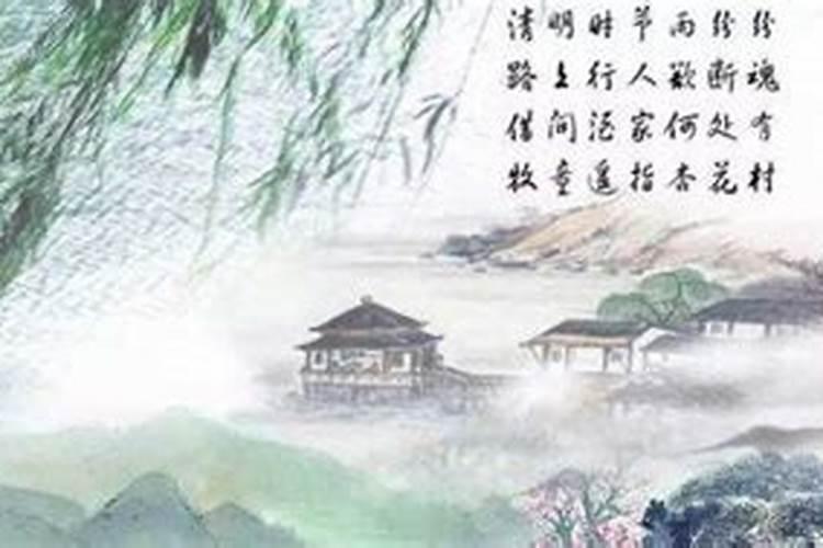清明节想做的事情有哪些