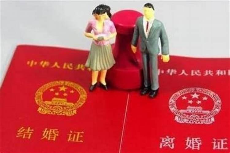 2025属鼠人每月运势及运程如何