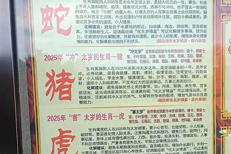 2026年属蛇化太岁的正确化解方法