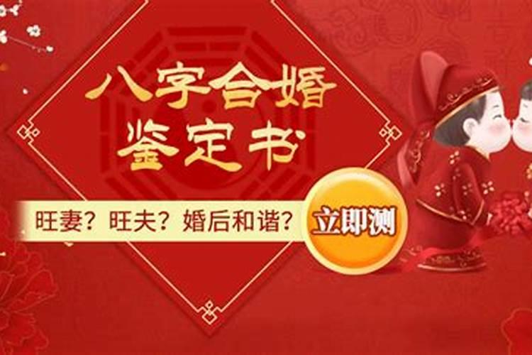 梦到村里哪五保户有一大坪狗旦竹在砍什么意思？