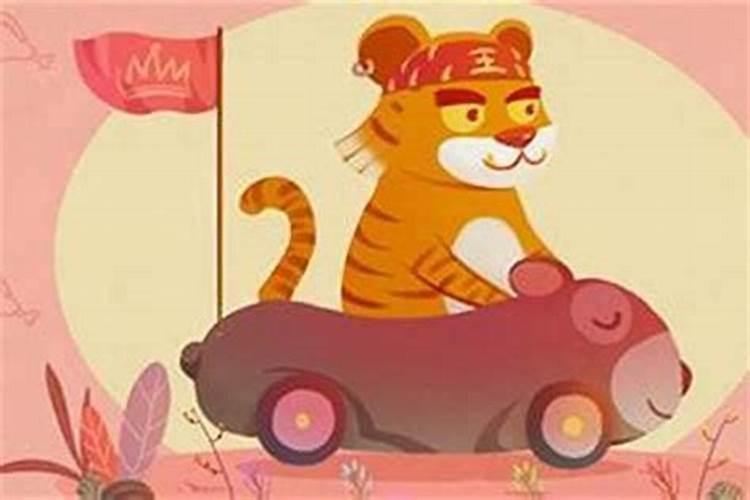 猪年2025年的运势怎么样
