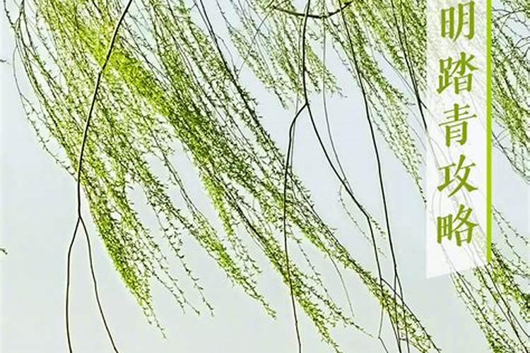 婚姻是什么,为什么要结婚？