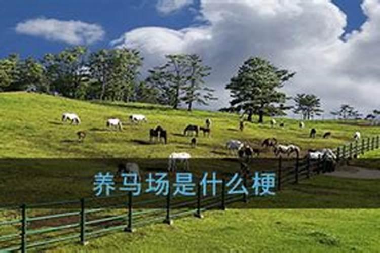 算命说婚姻是什么意思？