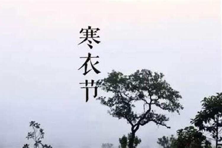 生肖羊2025年运势 属羊2025年运势及运程