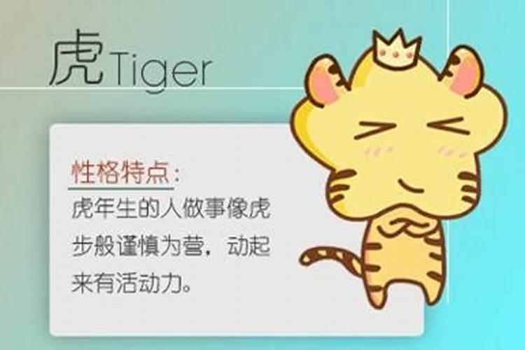 96年两个鼠相配吗 婚姻上要注意什么问题？