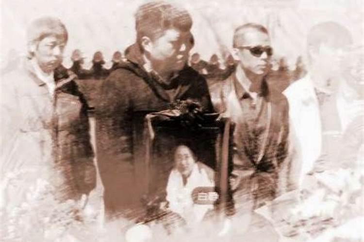 梦见好多屎预兆什么