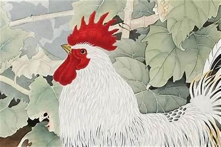 合适重要还是爱情重要
