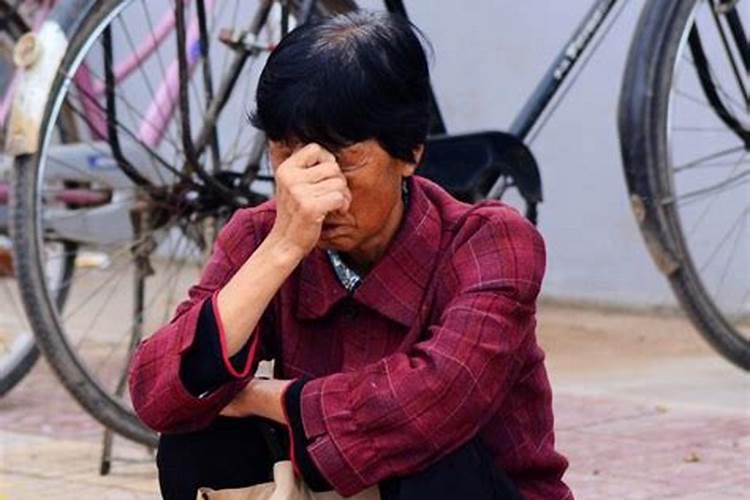 梦见苜蓿是什么意思