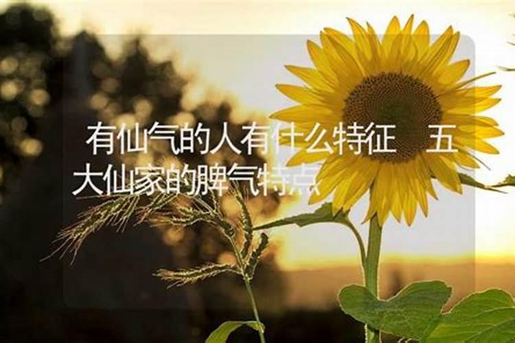 1991年腊月属羊是什么命