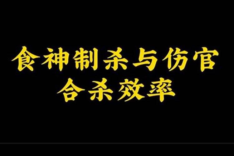 属马遇鼠年如何化解,属马的不愿理我了2022