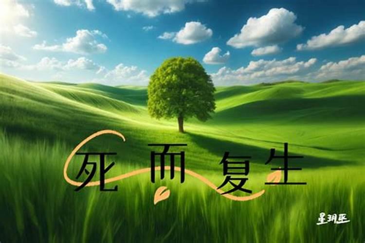 银川飞机场有哪些航班