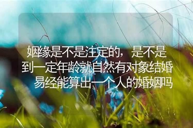 节气立冬是什么意思