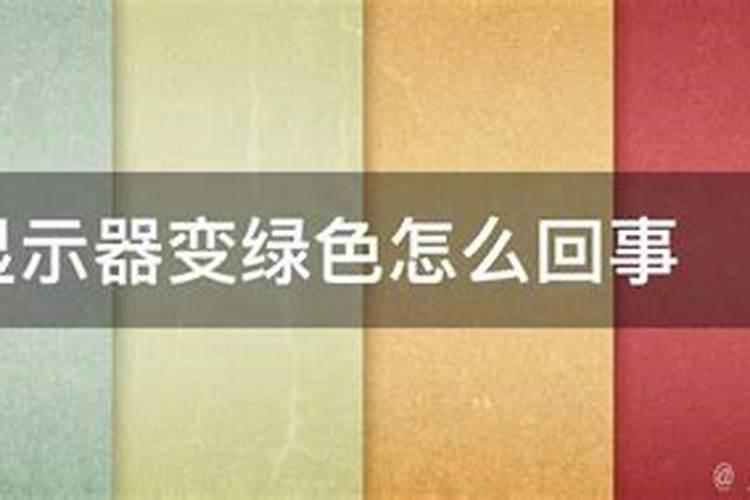 太岁会长绿毛是真的吗