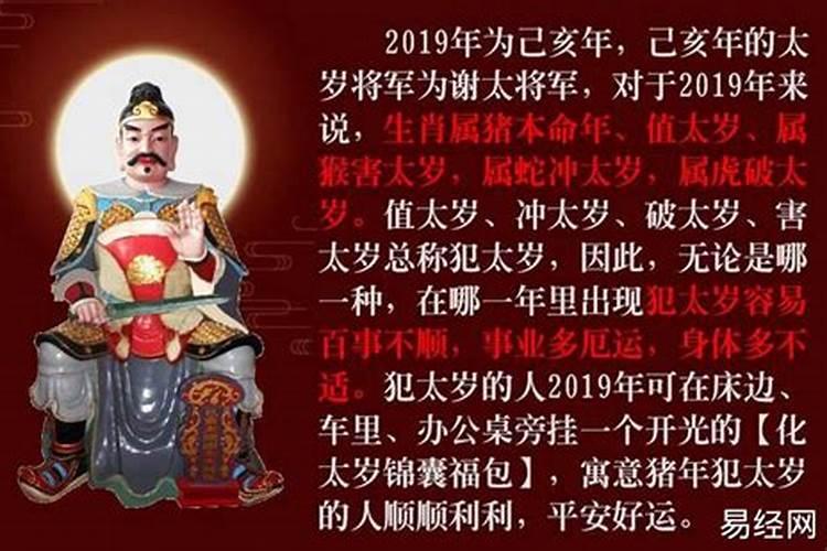 梦见上学打架的预兆