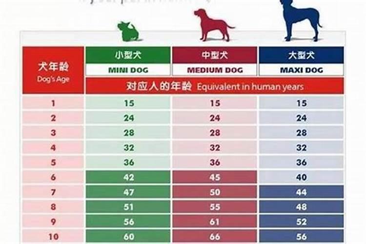 六九年农历正月十八早上二到三点出生,是什么星座