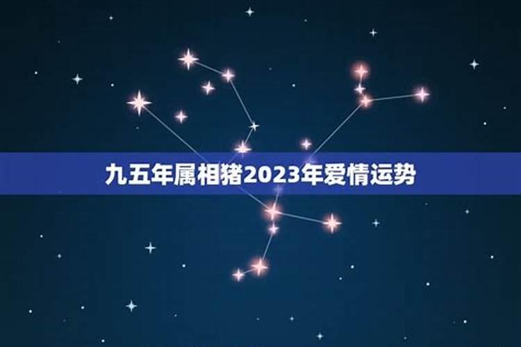 96年属鼠女命2023年运势运程 兔年运势查询？
