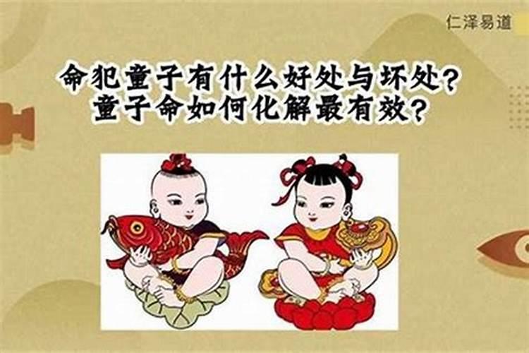 属虎2025年运势及运