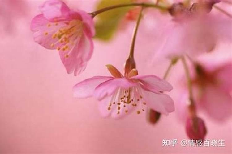 生辰八字算命几斤几两对照表