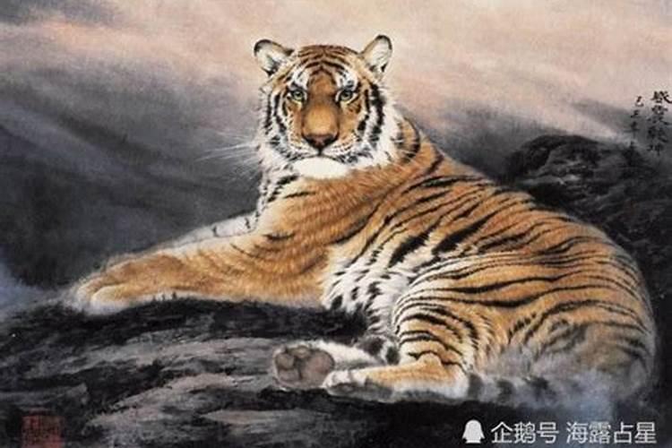 犯太岁与冲太岁有什么区别