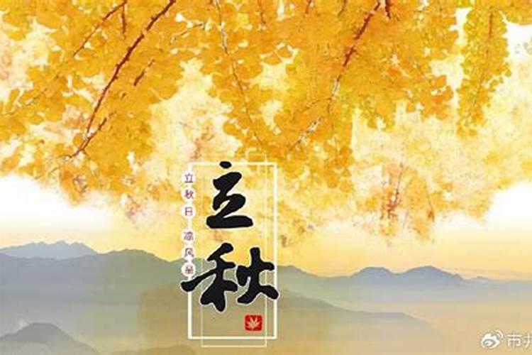 2026年属猪人的全年运势