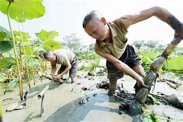太岁是什么？太岁头上动土又什么意思？