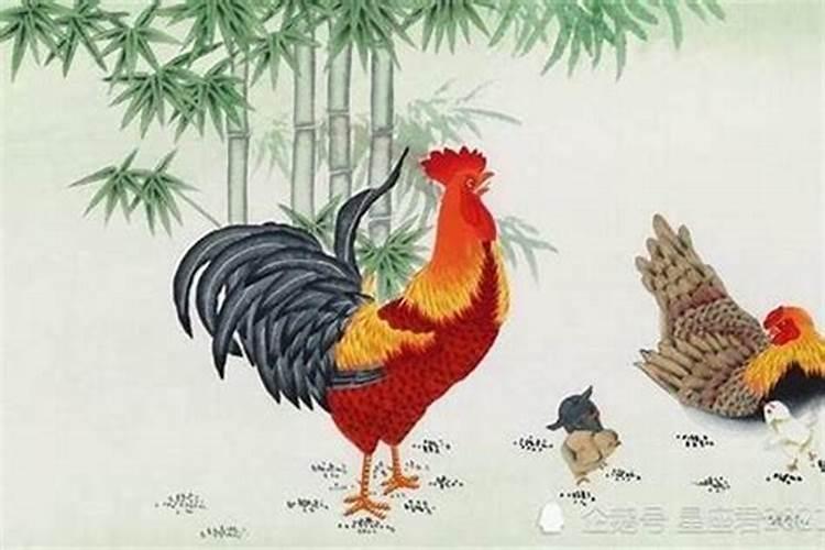 69年属鸡女在2025年运势