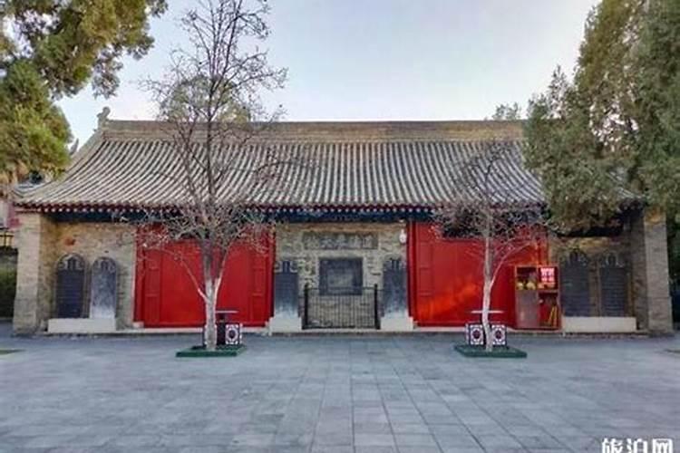 梦见虾是什么意思有什么预兆