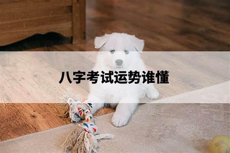 2025奥运会在哪个国家举行？