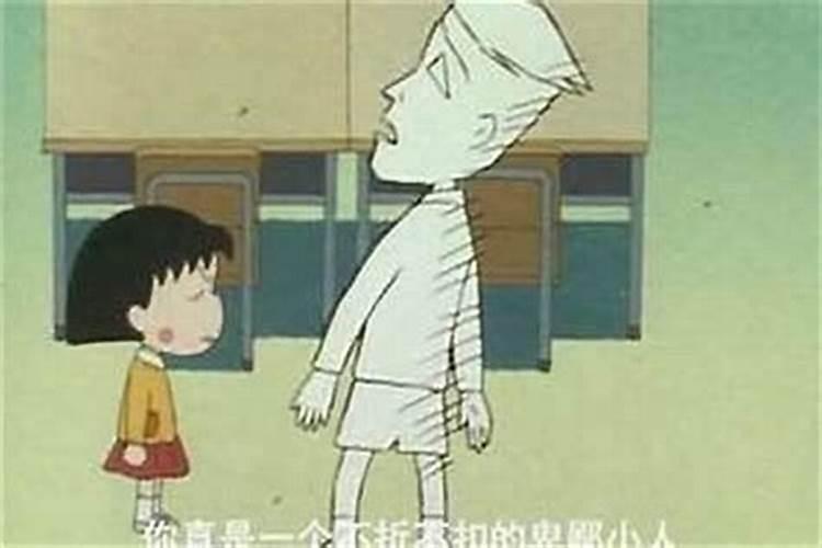 属兔和属狗的合得来吗
