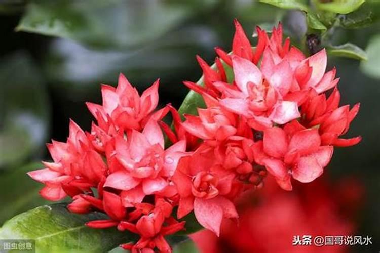 梦见梦里洪水自己逃出来了的预兆