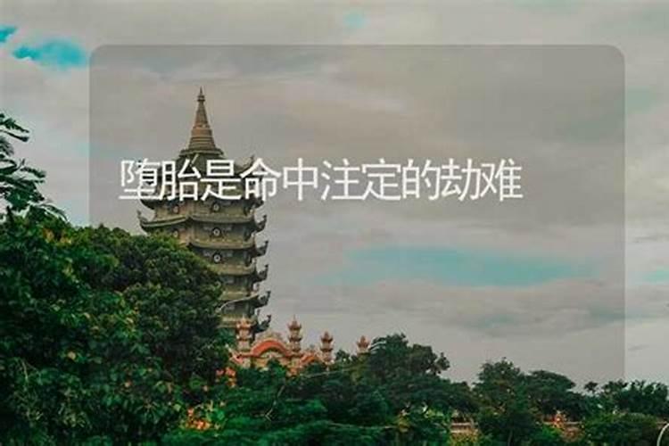 南安有哪些特色小吃 泉州南安的特产