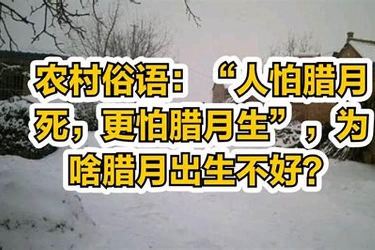 梦见好多狗跑来跑去的预兆
