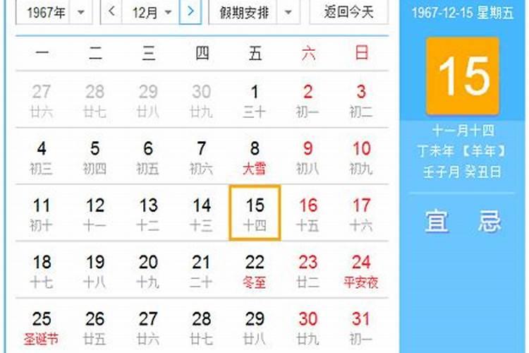 据说狗狗也有生辰八字,性格有什么不同