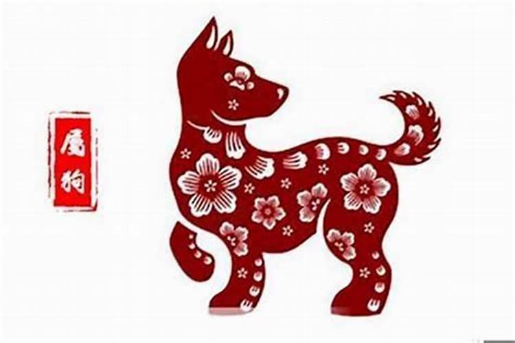 听说肉太岁这玩意可以治疗癌症是真的还是假的？