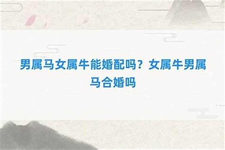 免费合八字男龙女马