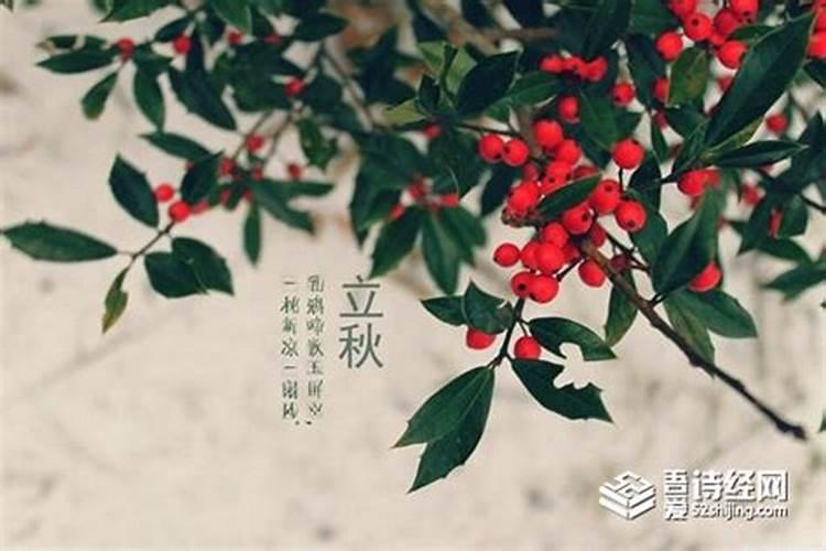 2020年的秋天是几月到几月 立秋是什么时候